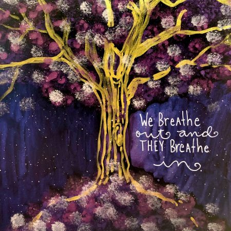 1-KS2022_EffyWild_TasterSession_FinalImage